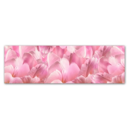 Cora Niele 'Pink Tulip Scape' Canvas Art,10x32